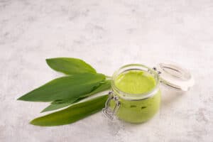 Pesto ails des ours